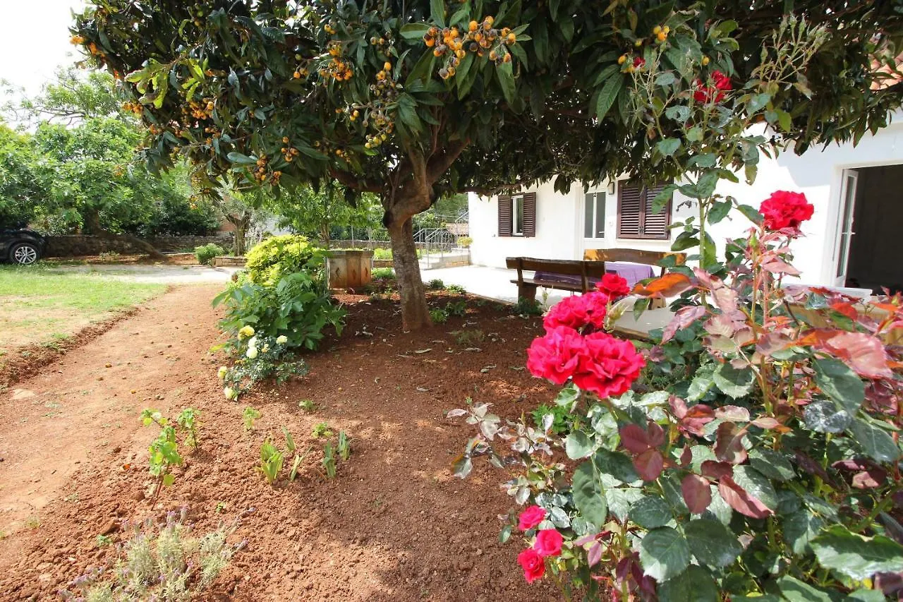 Casa Lidija Apartment Rovinj Croatia